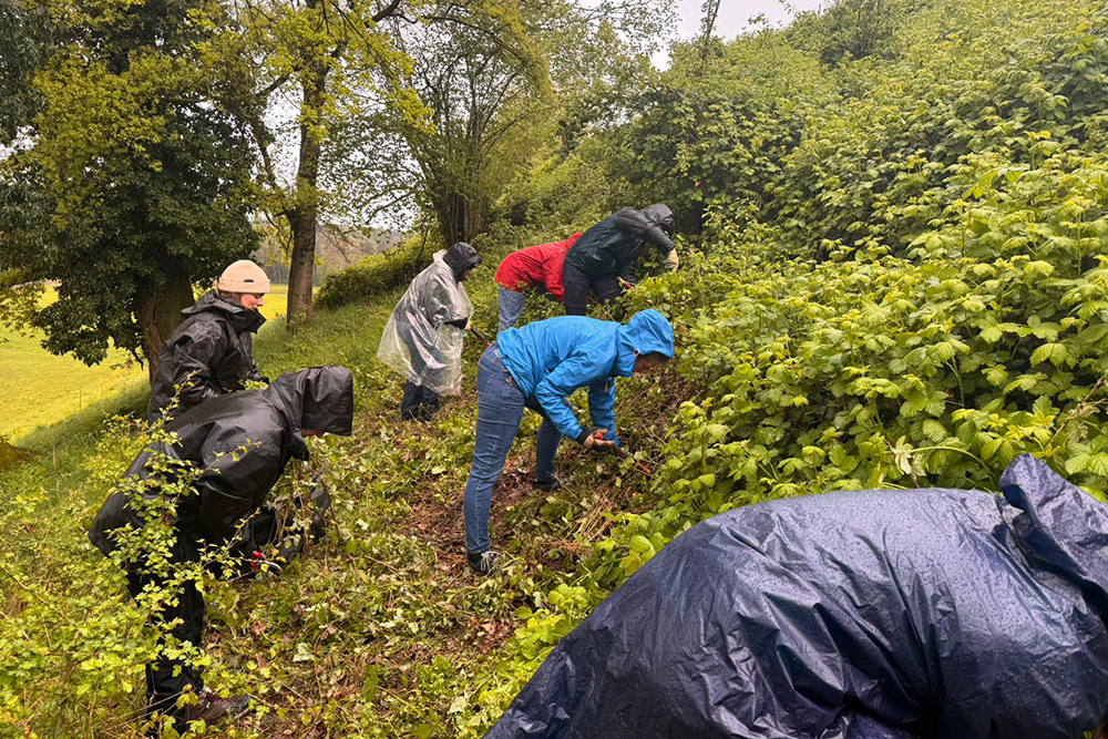 Corporate Volunteering Eturnity