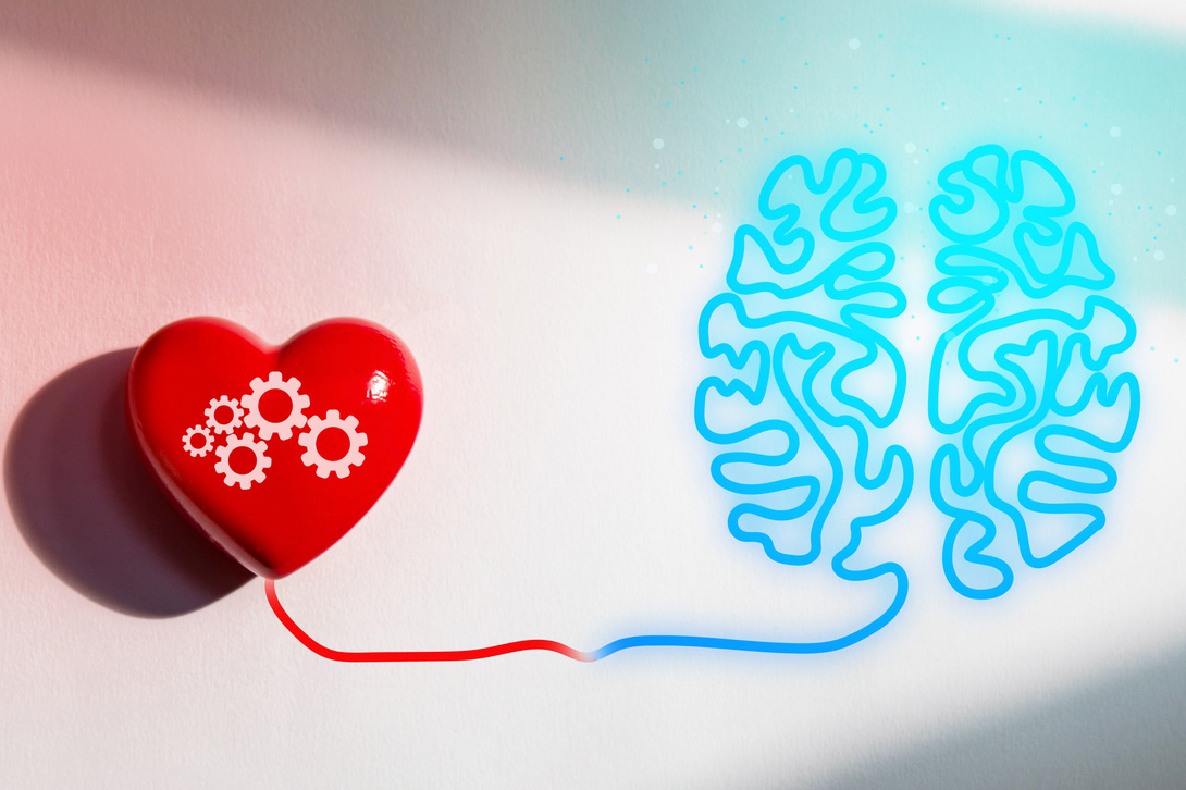 Herz-Gehirn-Kohärenz