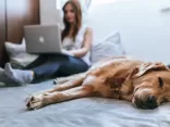 Homeoffice